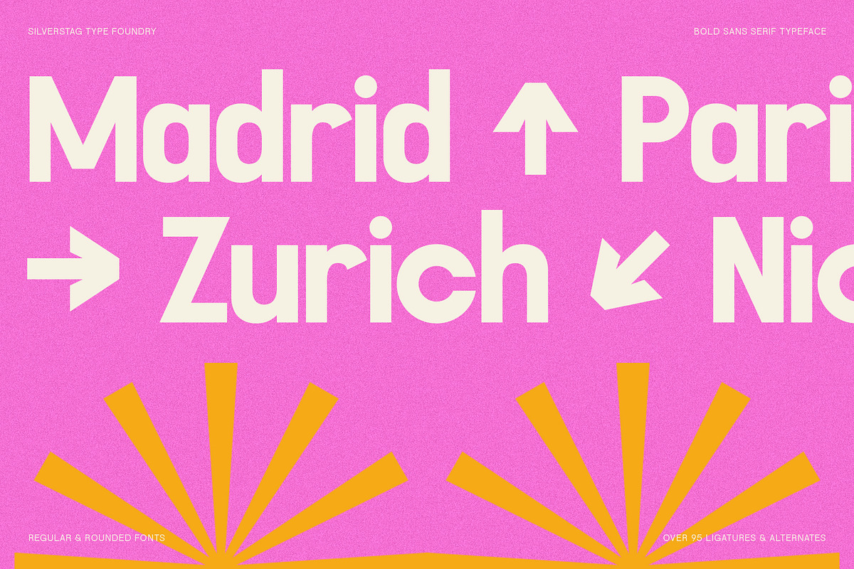 FlyBridge - Bold Ligature Rich Sans, a Sans Serif Font by SilverStag Type Foundry (Photo 3 of 30)