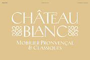 Biarritz Luxury Editorial Serif, a Serif Font by Genilson Santos (Thumbnail 4 of 17)
