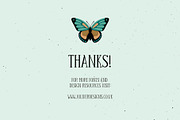 Curious Entomology Collection, an Animal Illustration by Cosy Fox (Thumbnail 8 of 9)