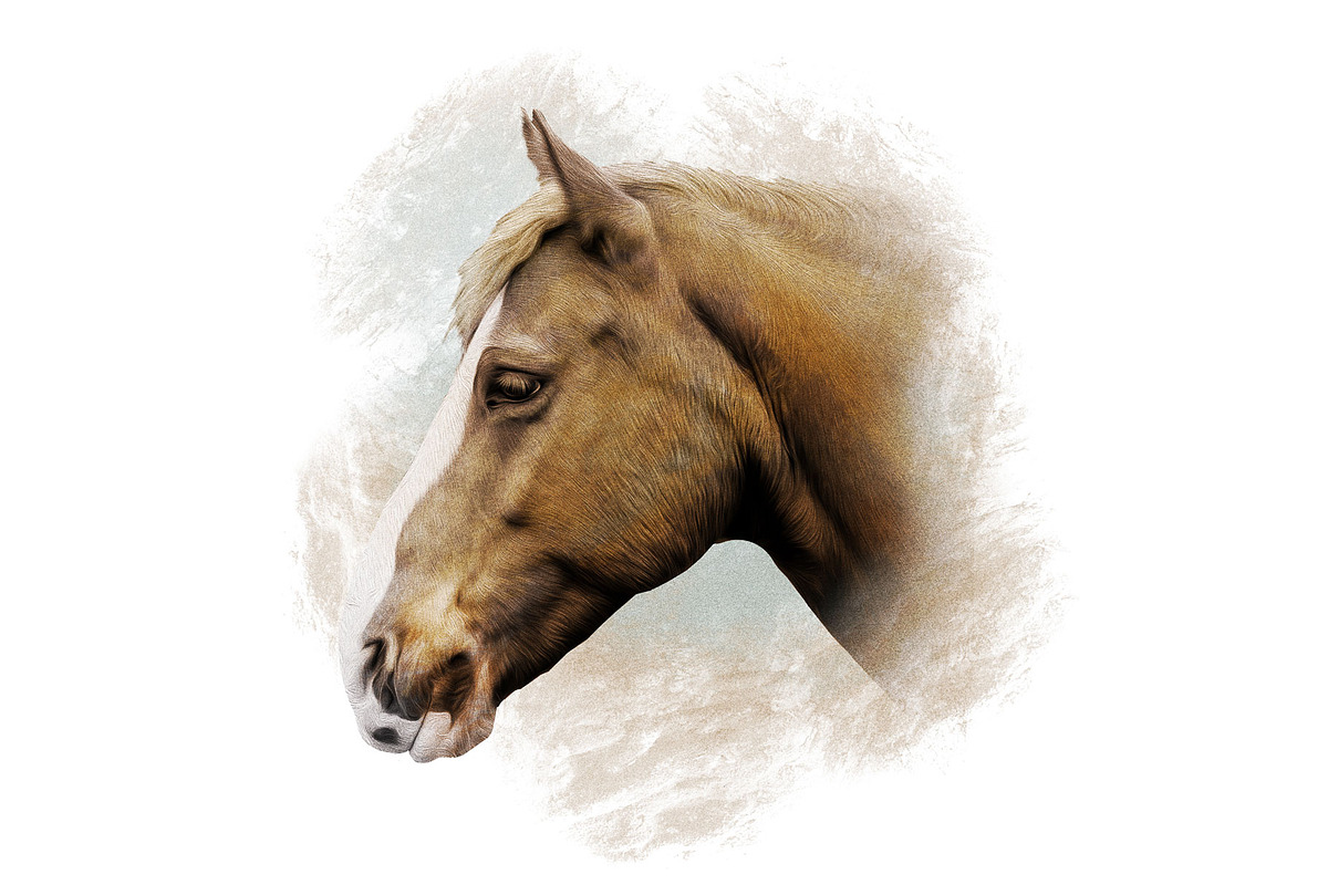 Horse Illustration, an Animal Illustration by Digital Art Downloads (Photo 2 of 4)