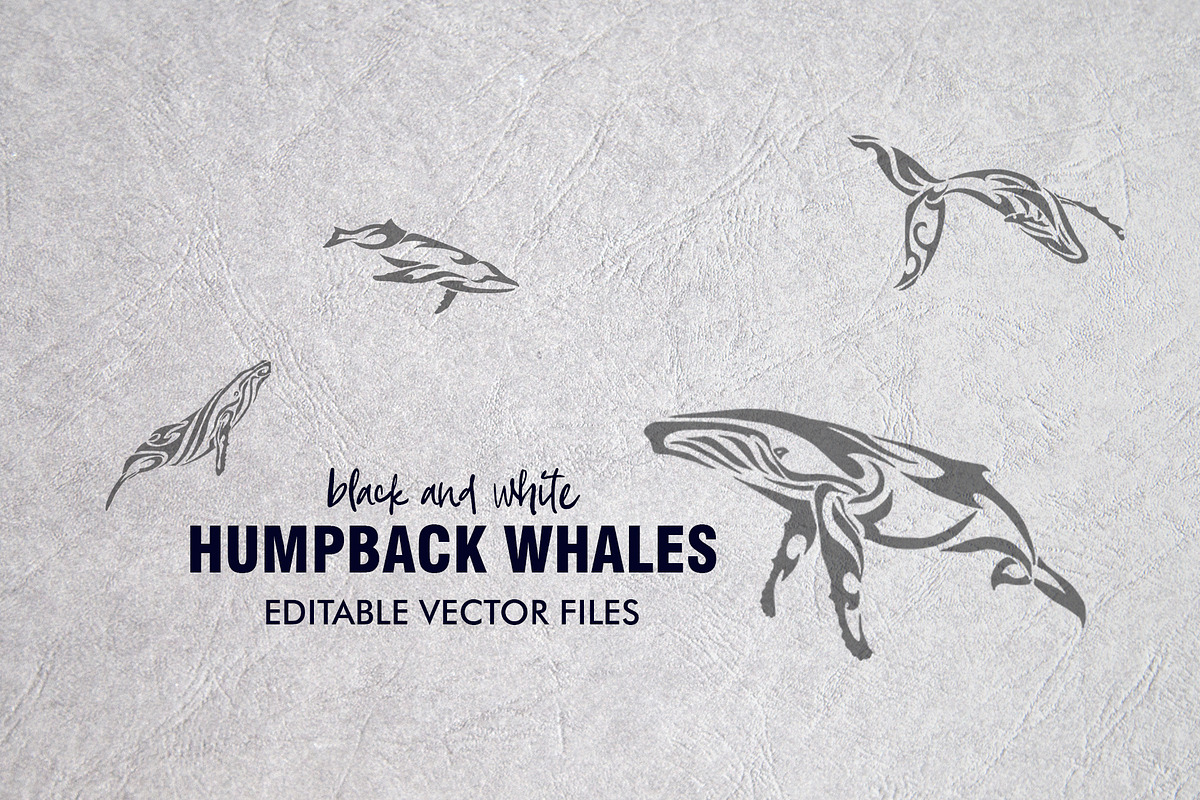 20 Whale Tribal Designs Bundle, a Pattern Graphic by Natsuhisui (Photo 7 of 12)