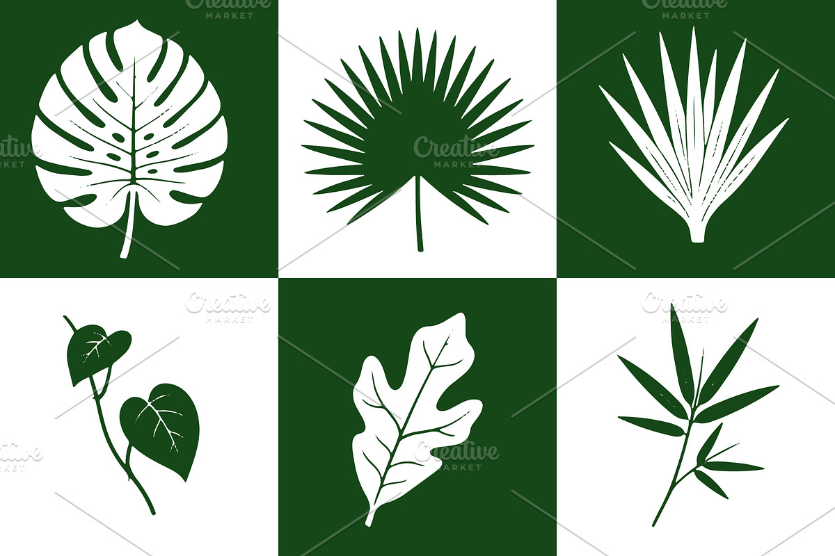 Exotic Tropical Leaf Silhouettes, an Object Graphic by Designgrove (Photo 1 of 4)