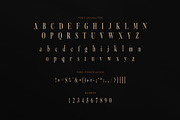 Karisma Elegant Serif Font, a Serif Font by Perfectype (Thumbnail 7 of 8)