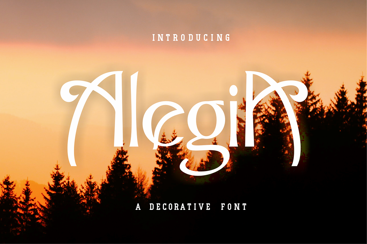 Alegia, a Serif Font by blunesia (Photo 1 of 6)
