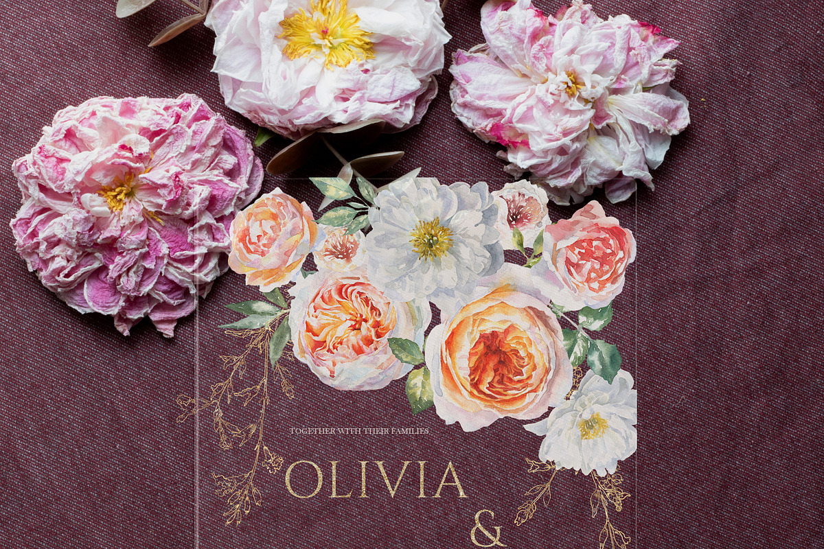Watercolor Botanical Florals, a Decorative Illustration by Catherine Wheel (Photo 6 of 43)