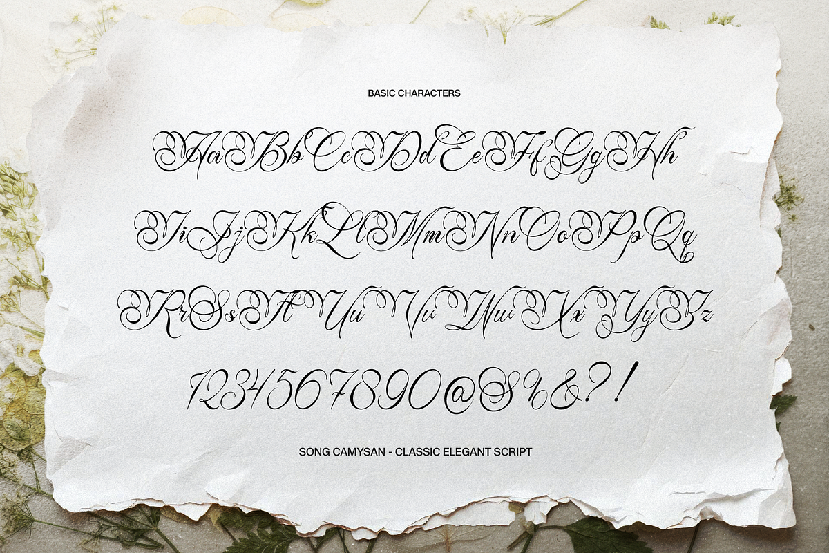 Alventary | Classic Elegant Script, a Script Font by gracetype_studio (Photo 10 of 12)