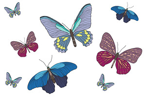 Graphic Set With Butterflies