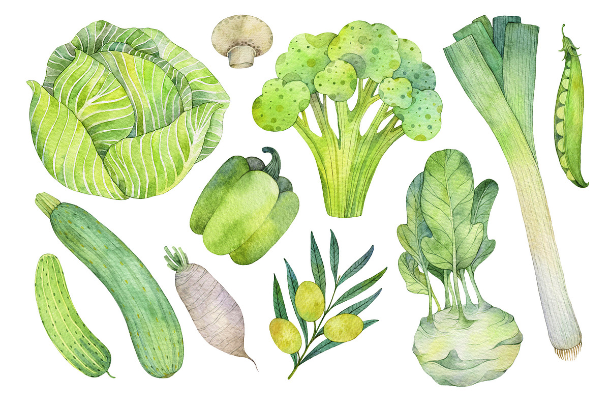Vegetables Watercolor collections, a Food Illustration by Green_leaf_17 (Photo 2 of 5)