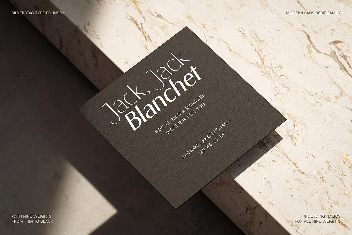Elio & Oliver - An 18-Font Typeface, a Sans Serif Font by SilverStag Type Foundry (Photo 6 of 20)