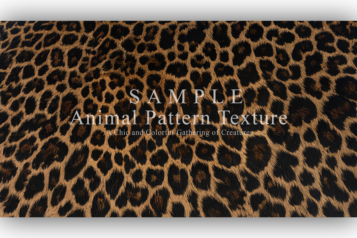 24 Animal Pattern Texture, a Background Graphic by NOMO DESIGN (Photo 13 of 24)