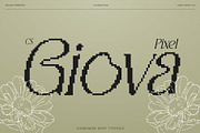 CS Giova Pixel, a Serif Font by Craft Supply Co. (Thumbnail 1 of 8)