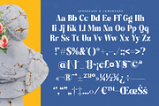 Night Roasty Modern Serif Font, a Script Font by timelesstype.co (Thumbnail 18 of 20)