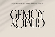 Qinfolk - Elegant Serif Font, a Serif Font by timelesstype.co (Thumbnail 7 of 20)
