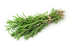 Rosemary bunch isolated on white background, a Food & Drink Photo by AlyaAnd