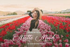 Matte Mood Presets For Lightroom