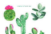 Cactus collection, an Illustration by Watercolor & sketches (Thumbnail 2 of 7)