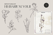 Herbarium II - Dried Pressed Flowers, an Illustration by AnaPierceArt (Thumbnail 4 of 6)
