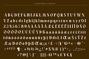 CS Brandis Drawn, a Serif Font by Craft Supply Co. (Thumbnail 8 of 8)