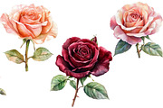 Valentine's Rose Clipart, an Illustration by Design Market (Thumbnail 3 of 5)