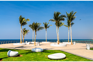 Modern palm trees and seating area, a Nature Photo by Leonid Andronov