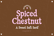 SPICED CHESTNUT Soft Serif Font, a Serif Font by Blush Font Co. (Thumbnail 1 of 5)