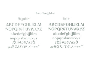 GARDEN: Hand Illustrated Retro Font