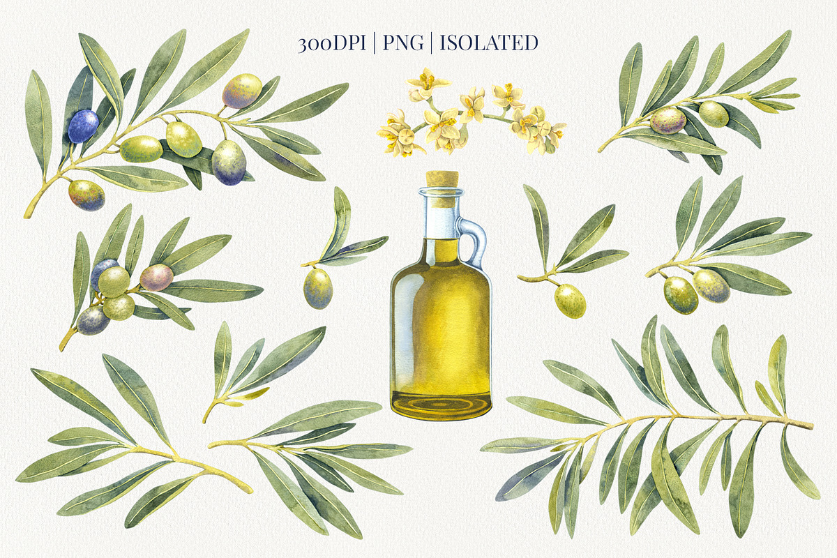 Olive Branches Watercolor Clipart, a Food Illustration by YarovaArt (Photo 3 of 28)