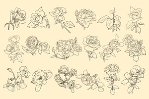 Rose Flowers Procreate Stamp Brushes