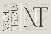 Brikelia Minimalist Fashionable Font, a Serif Font by roomspace creative lab (Thumbnail 6 of 12)