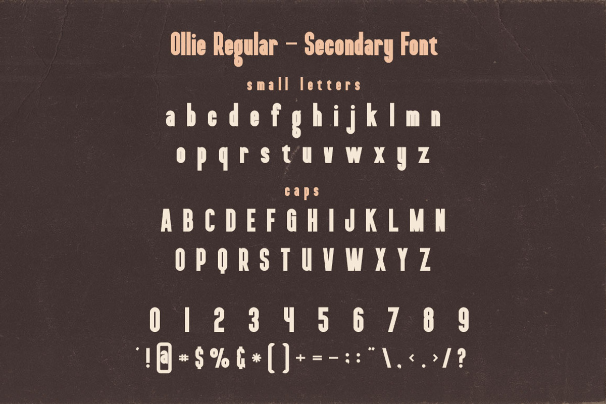 Mindset Font Duo preview 5