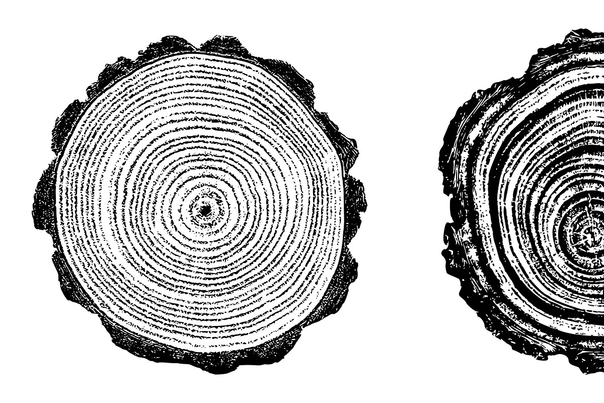 Woodlog Vector Template [ii], a Background Graphic by 103cia (Photo 3 of 3)