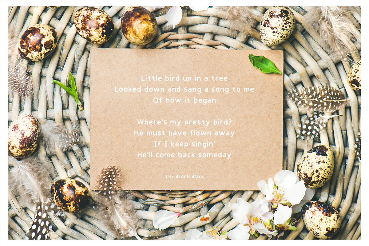 Little Bird a Handwritten Font preview 3