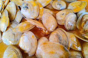 Close-up of clams in warm seafood broth, a Food & Drink Photo by DanFLCreativo