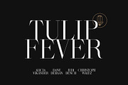 Ivelyn - Elegant Display Font, a Serif Font by Brand Mágus (Thumbnail 2 of 8)