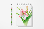 Botanical art - amarillis flowers, an Object Graphic by ViktoriArt (Thumbnail 11 of 14)