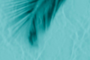 Swimming pool water plam shadow, a Background Photo by hitdelight