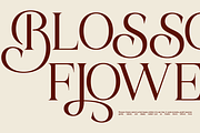 Bela Serfane Elegant Serif Font, a Serif Font by Rasio Studio (Thumbnail 6 of 11)