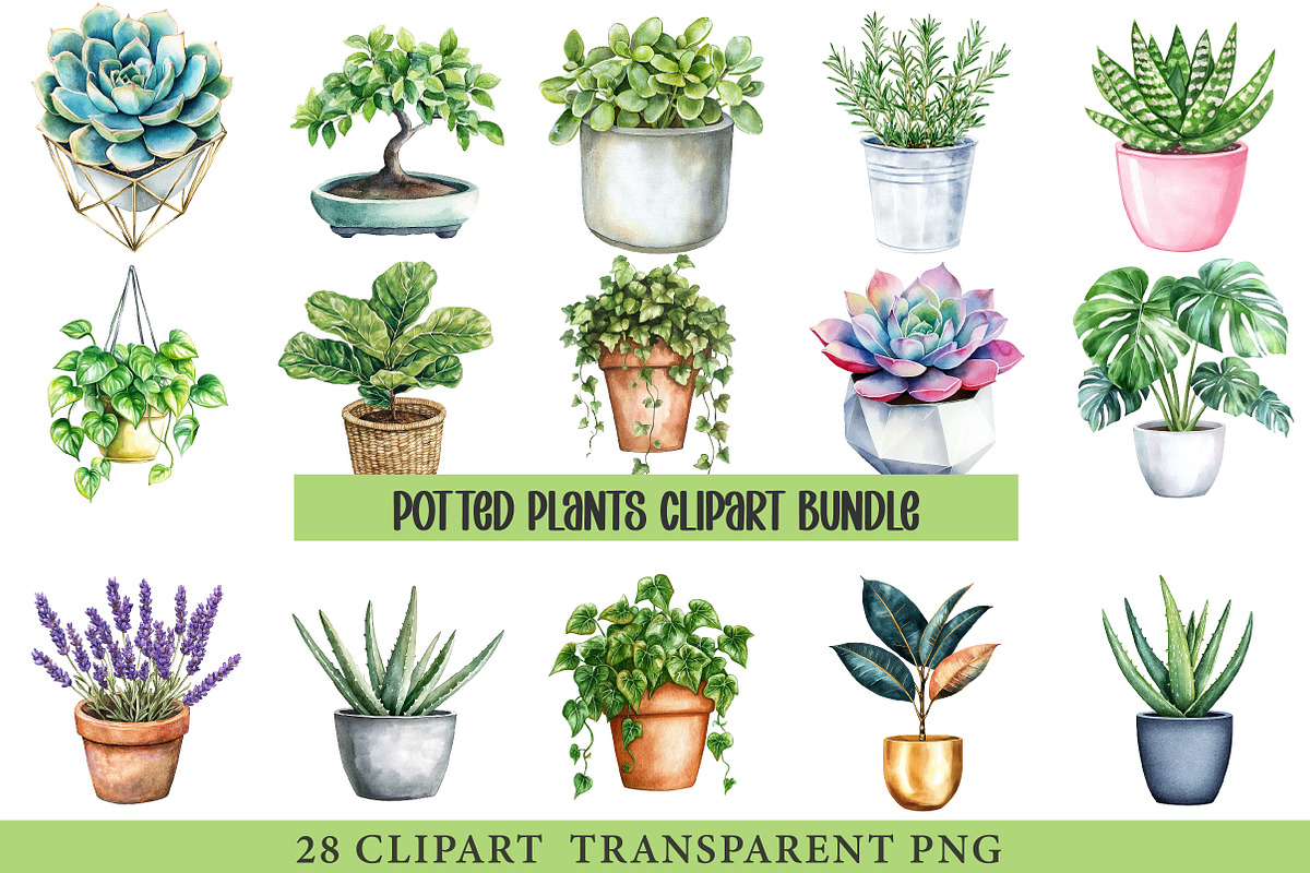 Potted Plants Clipart Bundle, an Illustration by cherrydesign (Photo 1 of 3)