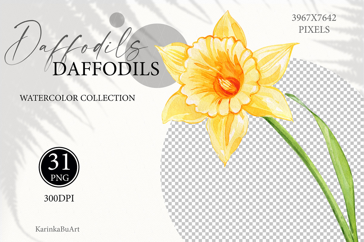 Watercolor daffodils clipart set, an Object Graphic by KarinkaBU (Photo 6 of 6)