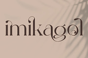 Bibalgoski | Modern Serif Font, a Serif Font by MchCrafter (Thumbnail 4 of 15)