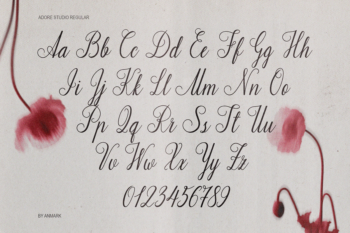 Adore Studio Romantic Font Duo, a Script Font by AnMark (Photo 7 of 14)