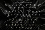 Alerigue — Editorial Serif Font, a Serif Font by Black Junst (Thumbnail 15 of 16)