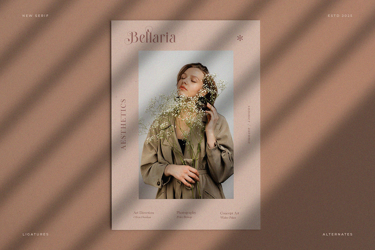 Maillore – Elegant & Stylish Serif, a Serif Font by BrandSemut (Photo 2 of 10)