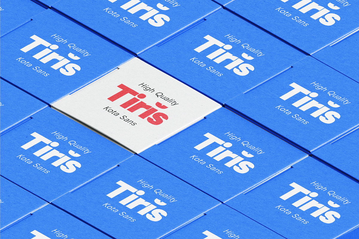 Kota Sans Modern Geometric Family, a Sans Serif Font by Lettertype Studio (Photo 3 of 15)
