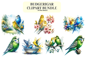 Watercolor Budgie Clipart