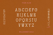 WILLOUGHBY by Tyler Elise, a Serif Font by tylerelise (Thumbnail 3 of 7)