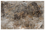 Corrosion Textures, a Texture Graphic by Blue Line Design (Thumbnail 5 of 13)