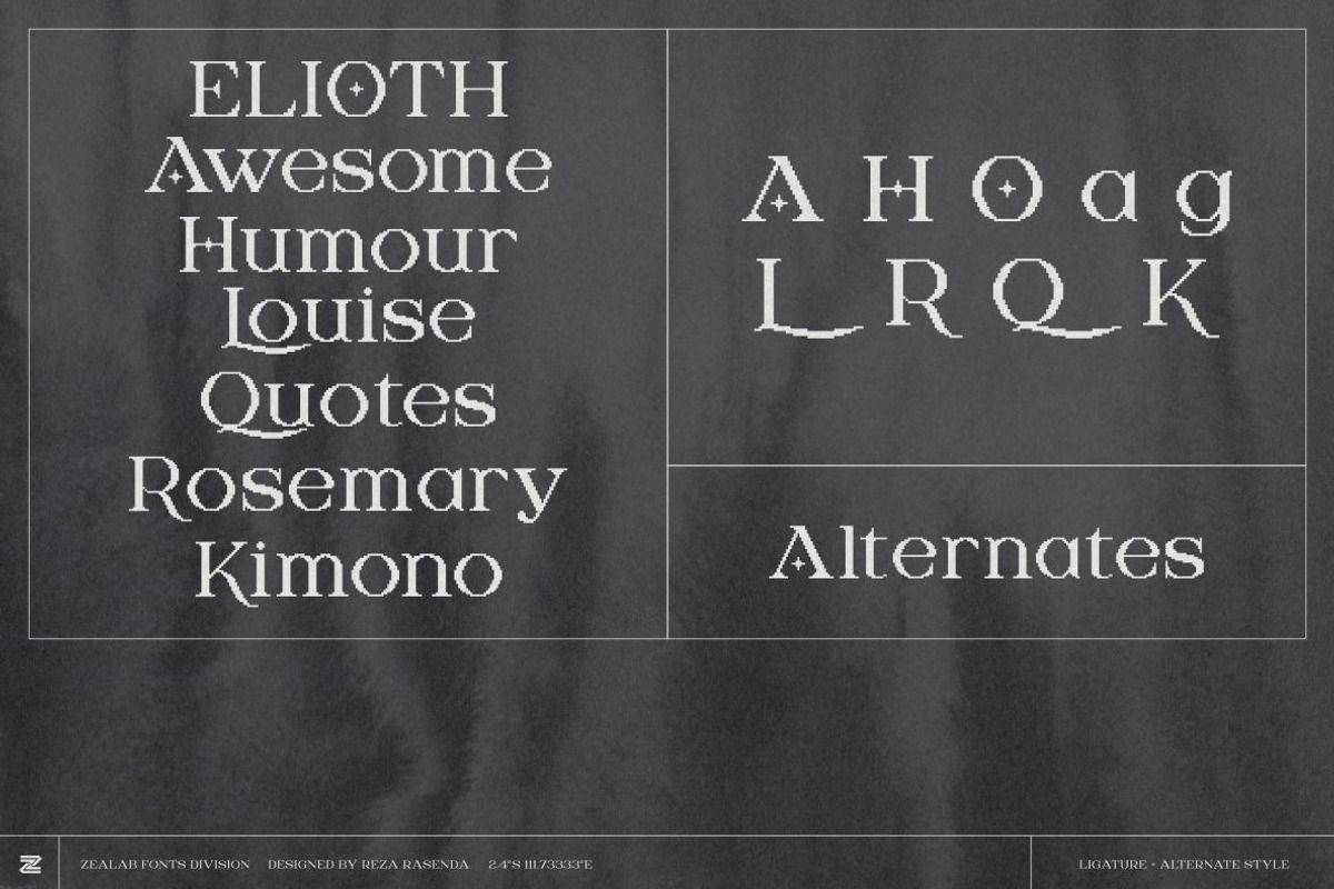 DIGITANY, a Serif Font by Bagerich Type Foundry (Photo 4 of 9)