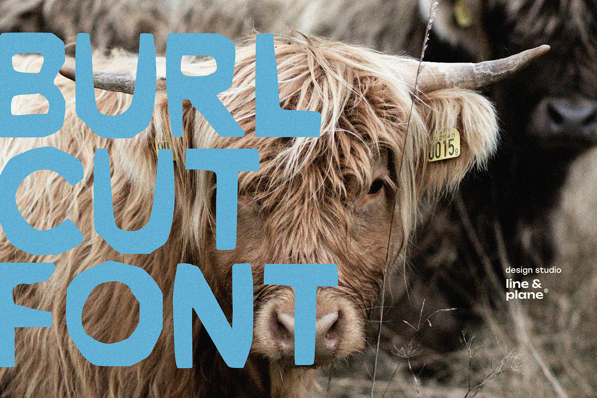 Burlcut Font - Latine & Cyrillic, a Handwritten Font by line & plane (Photo 6 of 13)