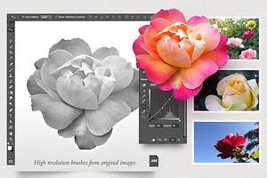 Lush Roses Photoshop Brushes